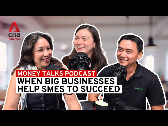 ⁣When big businesses help smaller SMEs | Money Talks podcast