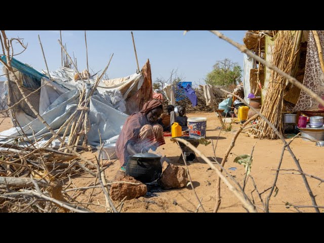 ⁣روسيا تستخدم الفيتو ضد مشروع قرار أممي يدعو إلى وقف إطلاق النار في السودان • فرانس 24 / FRANCE 24