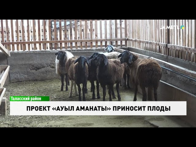 ⁣Проект «Ауыл аманаты» приносит плоды