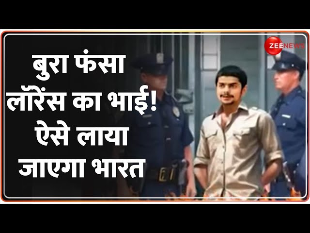 ⁣बुरा फंसा Lawrence का भाई! ऐसे लाया जाएगा भारत | Anmol Bishnoi Arrested | Latest | America | Hindi