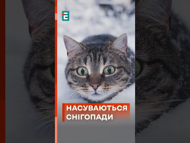 ⁣❄Увага❗ Рятувальники закликають підготуватися до снігопадів!  #еспресо #новини #погода