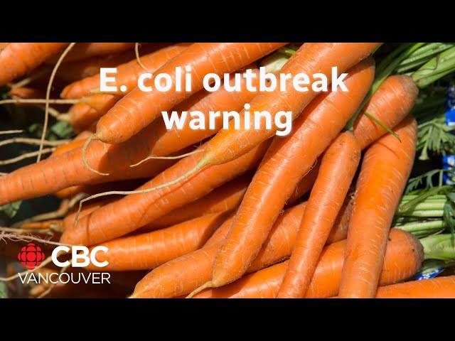 ⁣Officials warn about a deadly E. coli outbreak linked to organic carrots sold in the U.S. and Canada