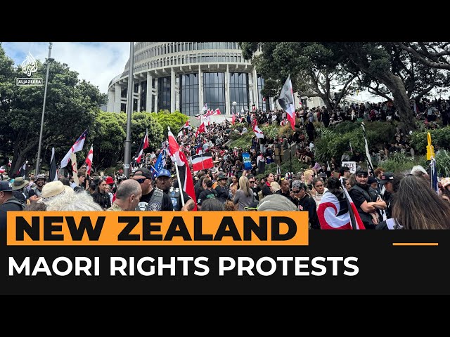 ⁣Thousands protest as Maori rights march reaches New Zealand parliament | Al Jazeera Newsfeed