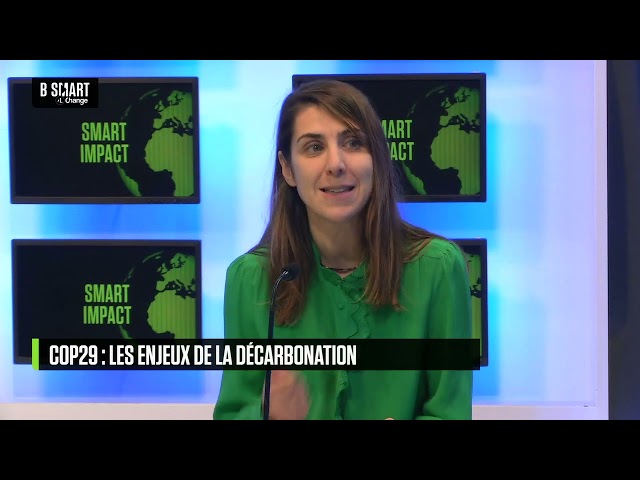 ⁣SMART IMPACT - Qu'attendent les entreprises de la COP29 ?