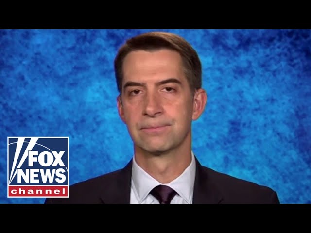 ⁣'This is crazy': Cotton calls for probe of Democrat ballot scandal