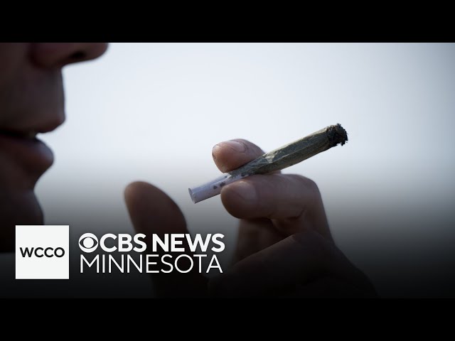 ⁣Minneapolis park board drafts marijuana policy, and more headlines