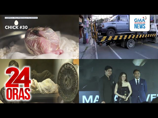 ⁣24 Oras: (Part 3) First PHL eaglet, na-hatch sa bagong nat'l bird breeding sanctuary sa..., atb