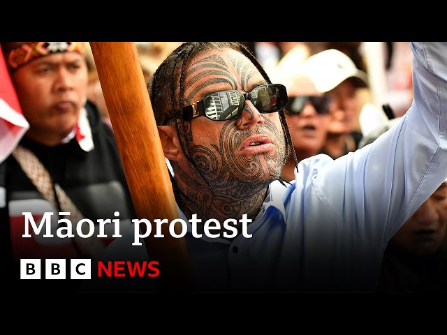 ⁣Thousands take part in Māori protests in New Zealand's capital | BBC News