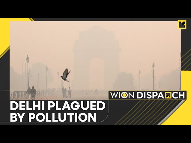 ⁣Smog Halts Life in Delhi: Schools, Colleges Shut | WION Dispatch