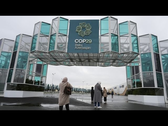 ⁣Climate finance takes centre stage at COP29