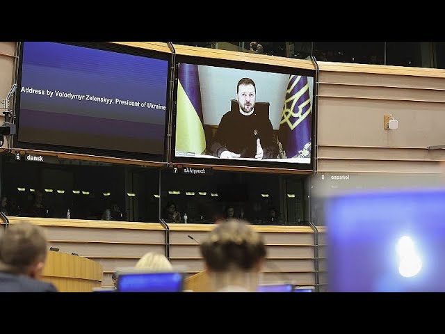 ⁣Strip Putin of his 'money and power' to restore peace, Zelenskyy tells MEPs as war turns 1