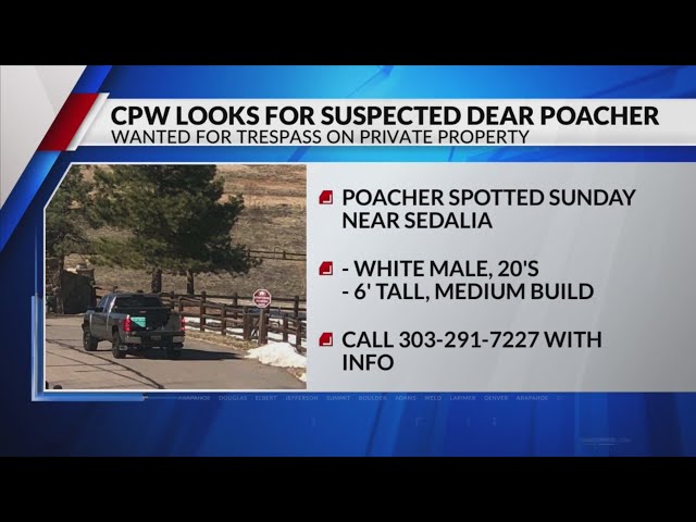 ⁣CPW searching for deer poacher near Sedalia