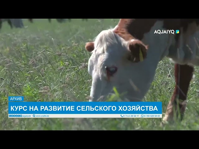 ⁣КУРС НА РАЗВИТИЕ СЕЛЬСКОГО ХОЗЯЙСТВА