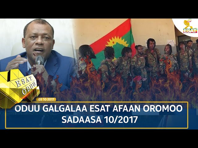 ⁣Ethiopia - ESAT ODUU 19 NOVEMBER 2024