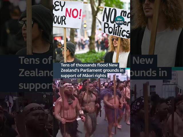 ⁣Tens of thousands flood New Zealand’s Parliament grounds in support of Māori rights | ITV News