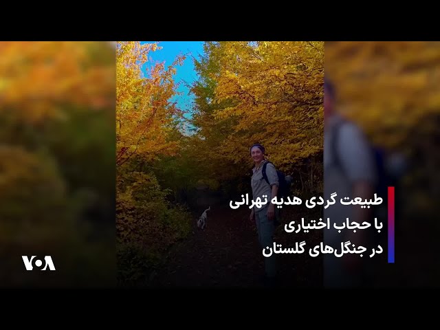 ⁣طبیعت گردی هدیه تهرانی با حجاب اختیاری در جنگل‌های گلستان