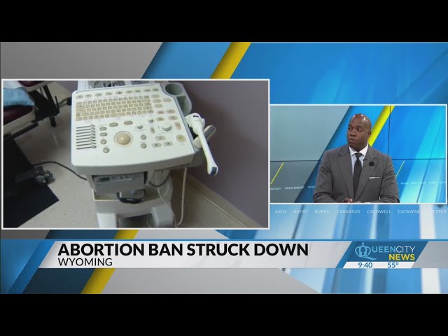 ⁣Legal Analysis: Abortion bans struck down