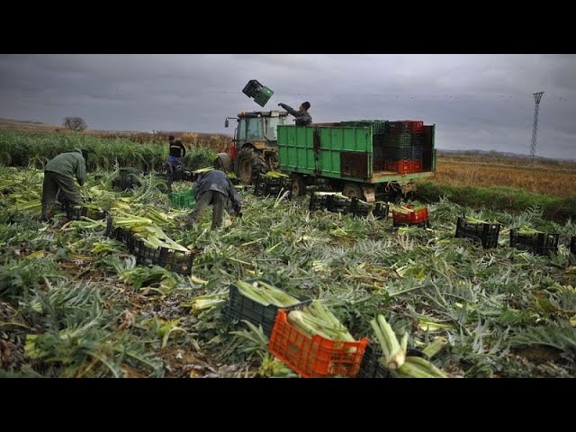 ⁣Spanish farmers lash out against Mercosur: “They will end European agriculture”