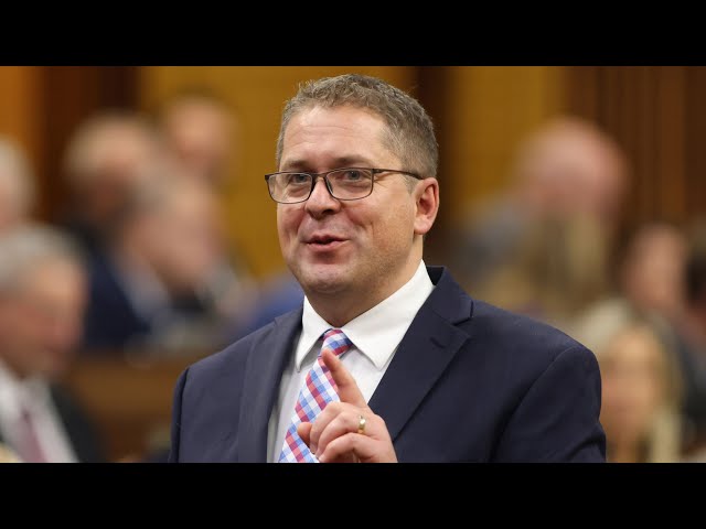 ⁣Andrew Scheer calls Randy Boissonnault 'fake indigenous man' during QP