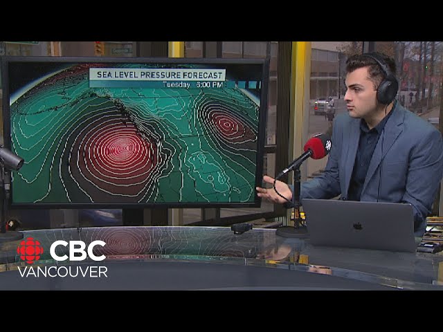 ⁣First signs of 'bomb cyclone' impact as winds pick up along Vancouver Island coast