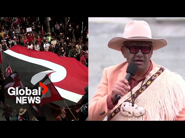 ⁣New Zealand: Thousands protest against Maori treaty bill outside Parliament