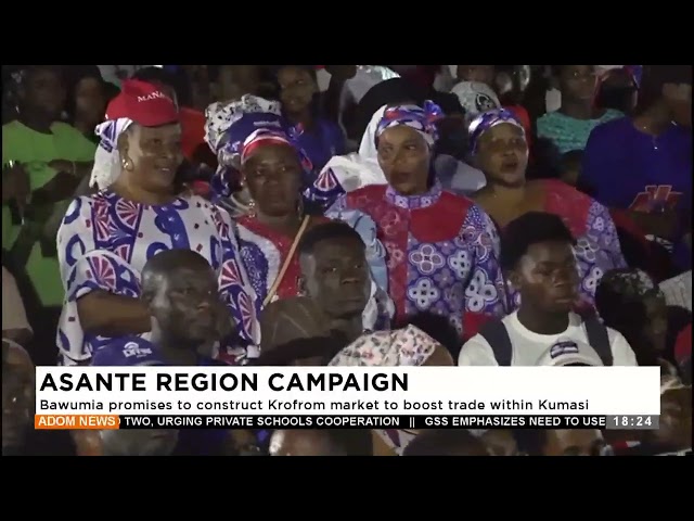 ⁣NPP Presidential candidate - Adom TV Evening News (19-11-24)