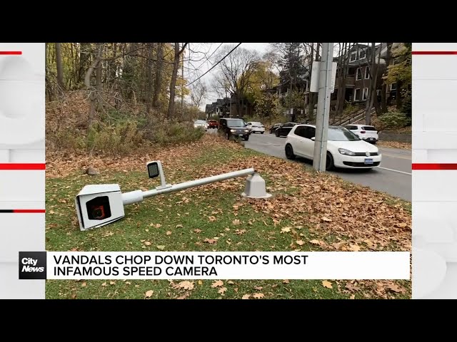 ⁣Vandals chop down Toronto's most infamous speed camera