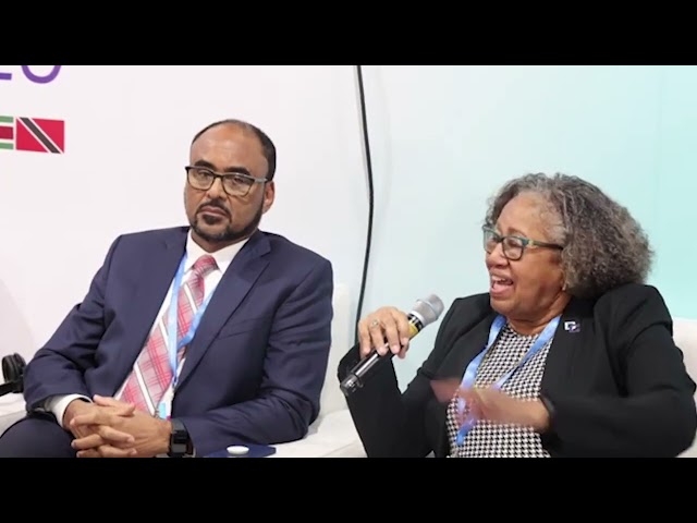 ⁣Caribbean Makes A Case For Urgent Climate Finance At Cop 29