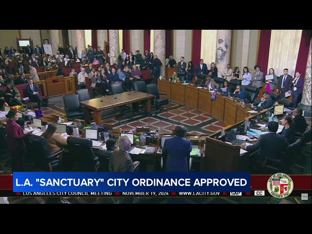 ⁣LA council unanimously votes to approve 'sanctuary city' ordinance