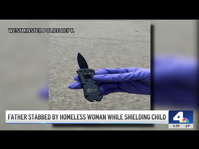 ⁣Woman tries to stab toddler at Westminster park