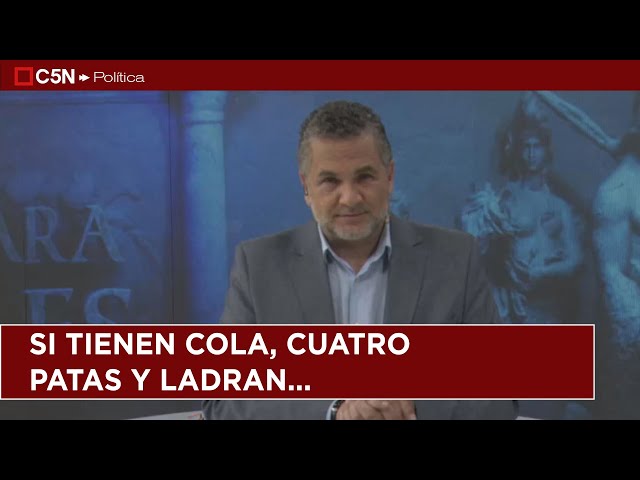 ⁣EDITORIAL de FERNANDO BORRONI en SIN LUGAR PARA LOS DÉBILES | 19-11-24