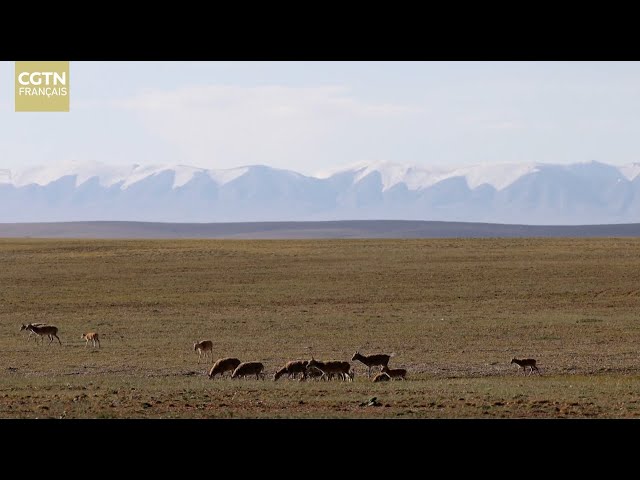 ⁣Sur la source des grands fleuves : La coexistence (I)