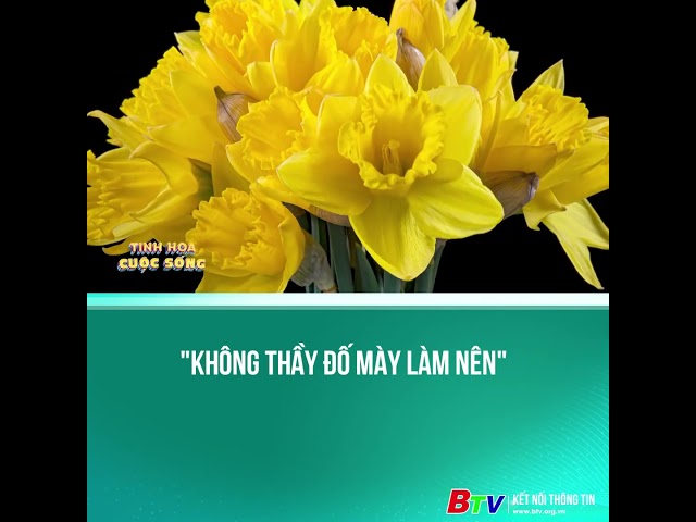 ⁣Không thầy đố mày làm nên