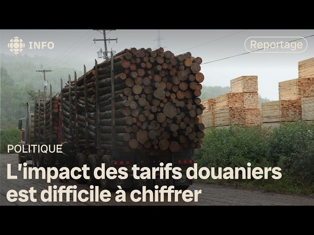 ⁣Tarifs douaniers : guerre commerciale en vue