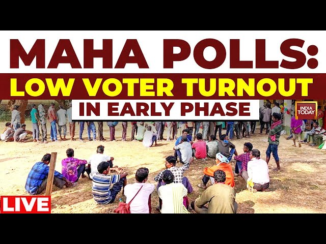 ⁣Maharashtra Assembly Polls Live Updates: Maharashtra Records 6.6% Voting Till 9 Am | Mumbai News