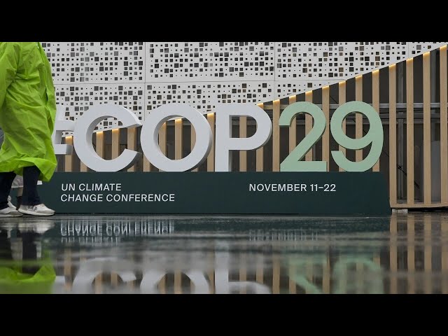 ⁣‘UN climate slush fund’: COP conferences all about money