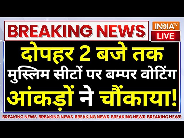 ⁣Maharashtra Voting Percentage LIVE: दोपहर 2 बजे तक मुस्लिम सीटों पर बम्पर वोटिंग..आंकड़ों ने चौंकाया!