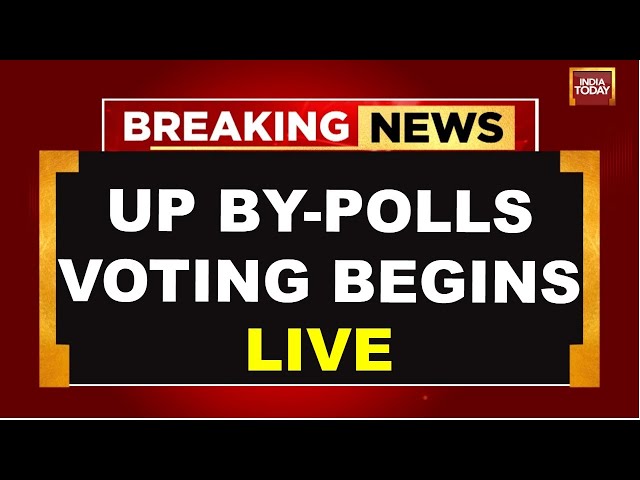 ⁣UP By-Polls Live Updates | Navya Haridas Vs Priyanka Gandhi In Wayanad By-Poll | India Today