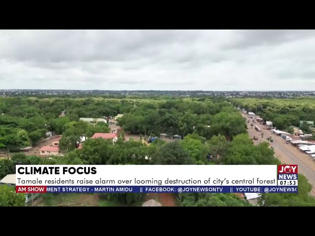 ⁣Climate Focus: Tamale residents raise alarm over looming destruction of city's central forest