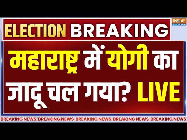 ⁣Maharashtra Assembly Election CM Yogi Impact LIVE: महाराष्ट्र में योगी का जादू चल गया?