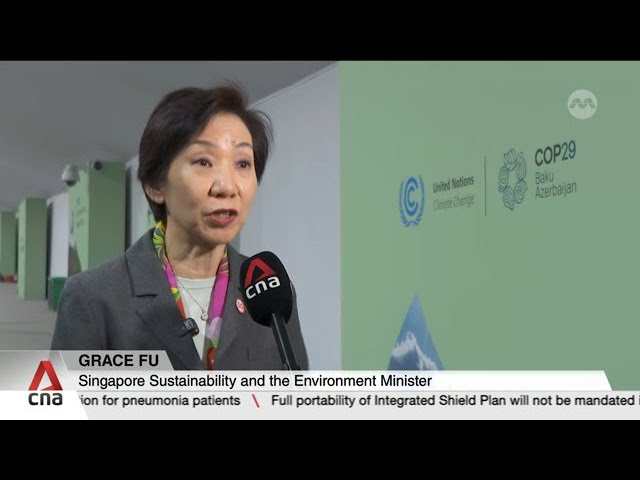 ⁣COP29: A lot of progress made on Article 6 of Paris Agreement, says Grace Fu