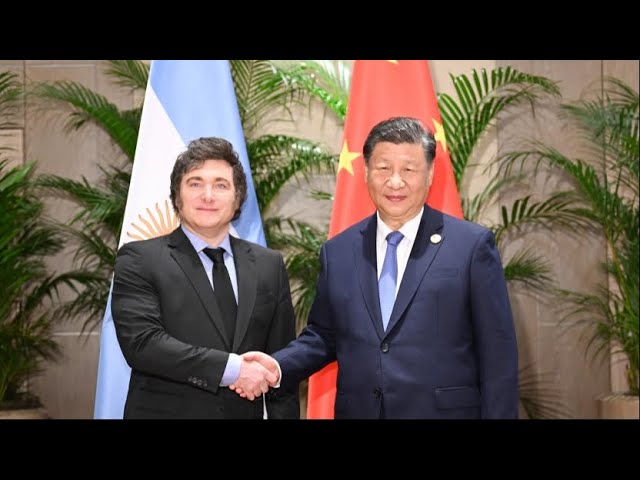 ⁣Xi Jinping affirme que la Chine est prête à poursuivre sa coopération financière avec l'Argenti