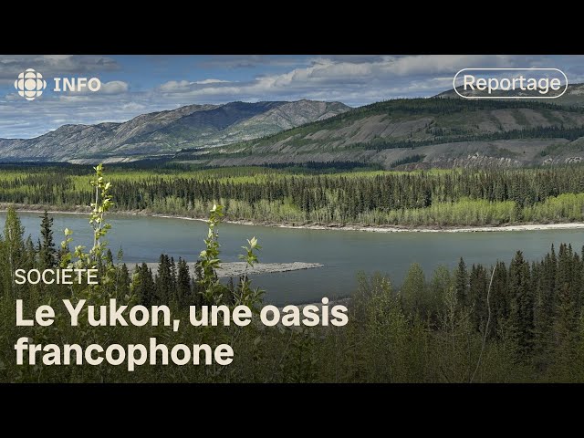 ⁣Les progrès remarquables du français au Yukon