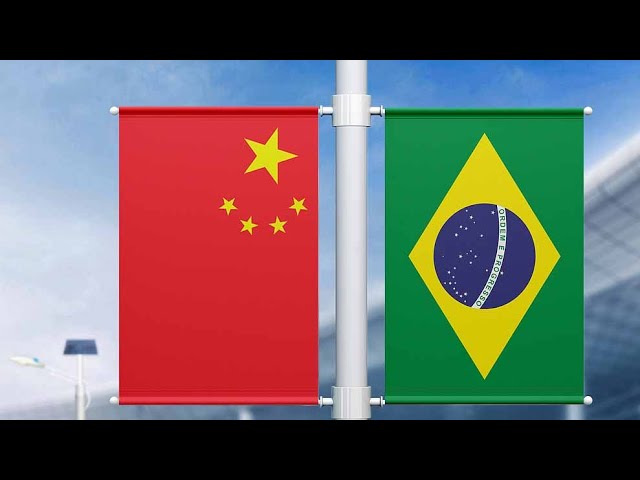 ⁣Live: Special coverage – Xi attends signing ceremony and meets press with Lula