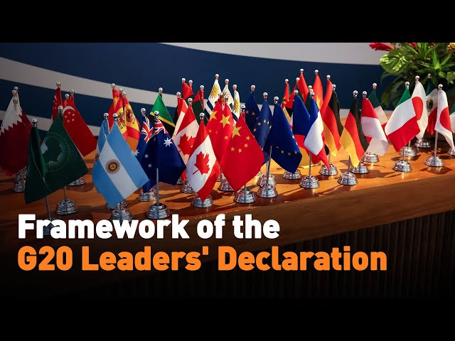 ⁣Framework of the G20 Leaders' Declaration