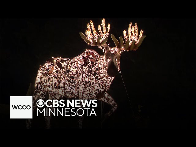 ⁣Minnesota Landscape Arboretum’s light display ready to spread holiday cheer