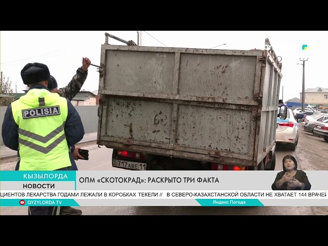 ⁣ОПМ «Скотокрад»: раскрыто три факта