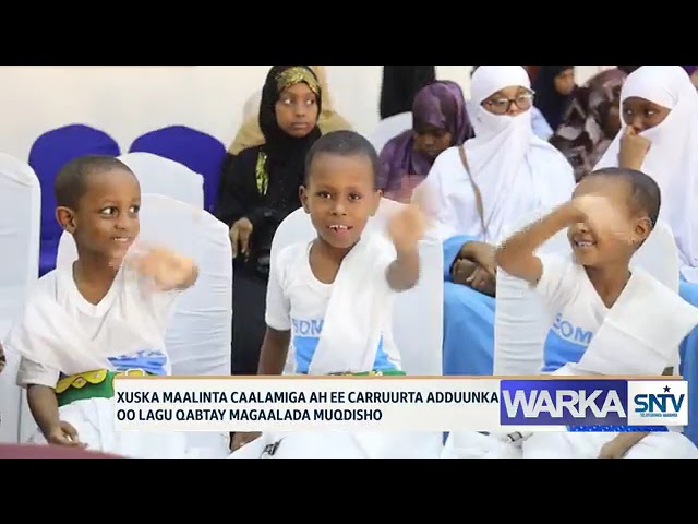 WARKA HABEEN EE SNTV 20.11.2024