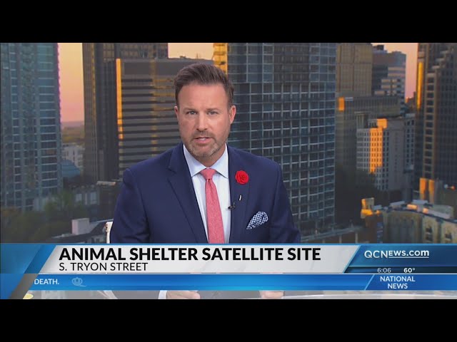 ⁣City Council approves rezoning for satellite Charlotte animal shelter