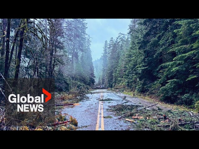 ⁣Bomb cyclone: Major cleanup underway after BC storm closes roads, knocks out power, downs trees